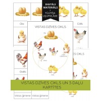Vistas Dzīves Cikls Un 3-Daļu Kartītes - OUWAKIDS
