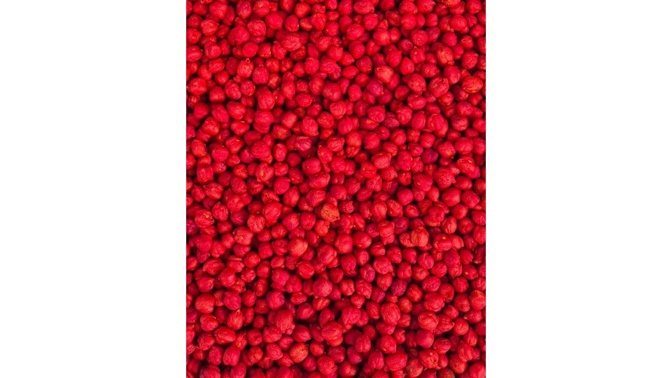 KRĀSOTI ZIRŅI RED, SENSORO ROTAĻU MATERIĀLS, BĀZE - OUWAKIDS